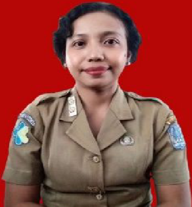 VIVI MARYA ANGGANITA, S.Kom